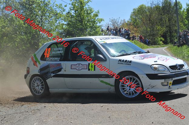 DSC_7663.JPG